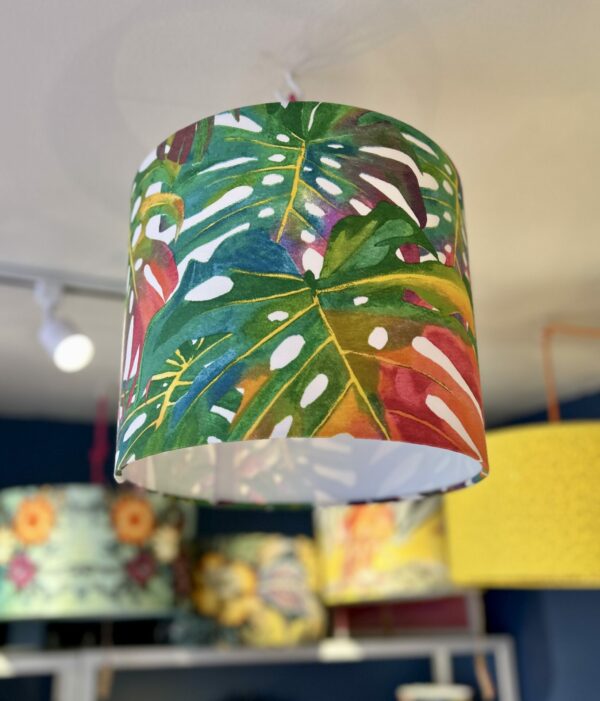 Sassy Cheese Plant