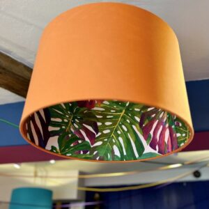Sassy Cheese Plant, Orange