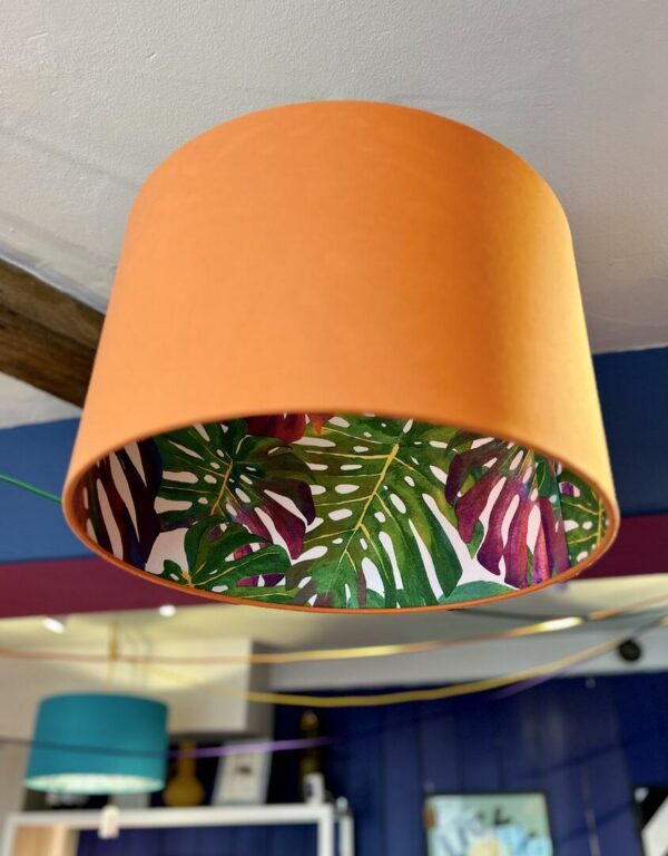 Sassy Cheese Plant, Orange